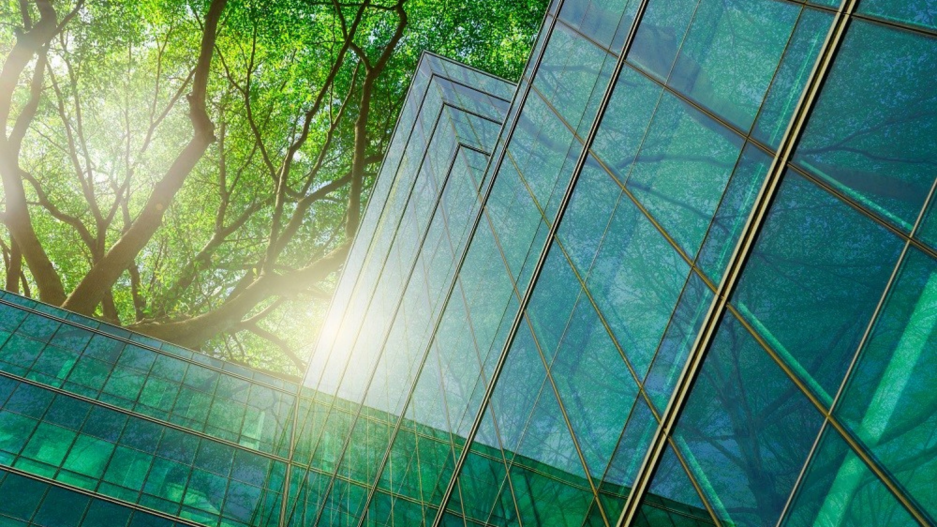 Eco-friendly building in modern city. Sustainable glass office building with tree for reducing carbon dioxide.