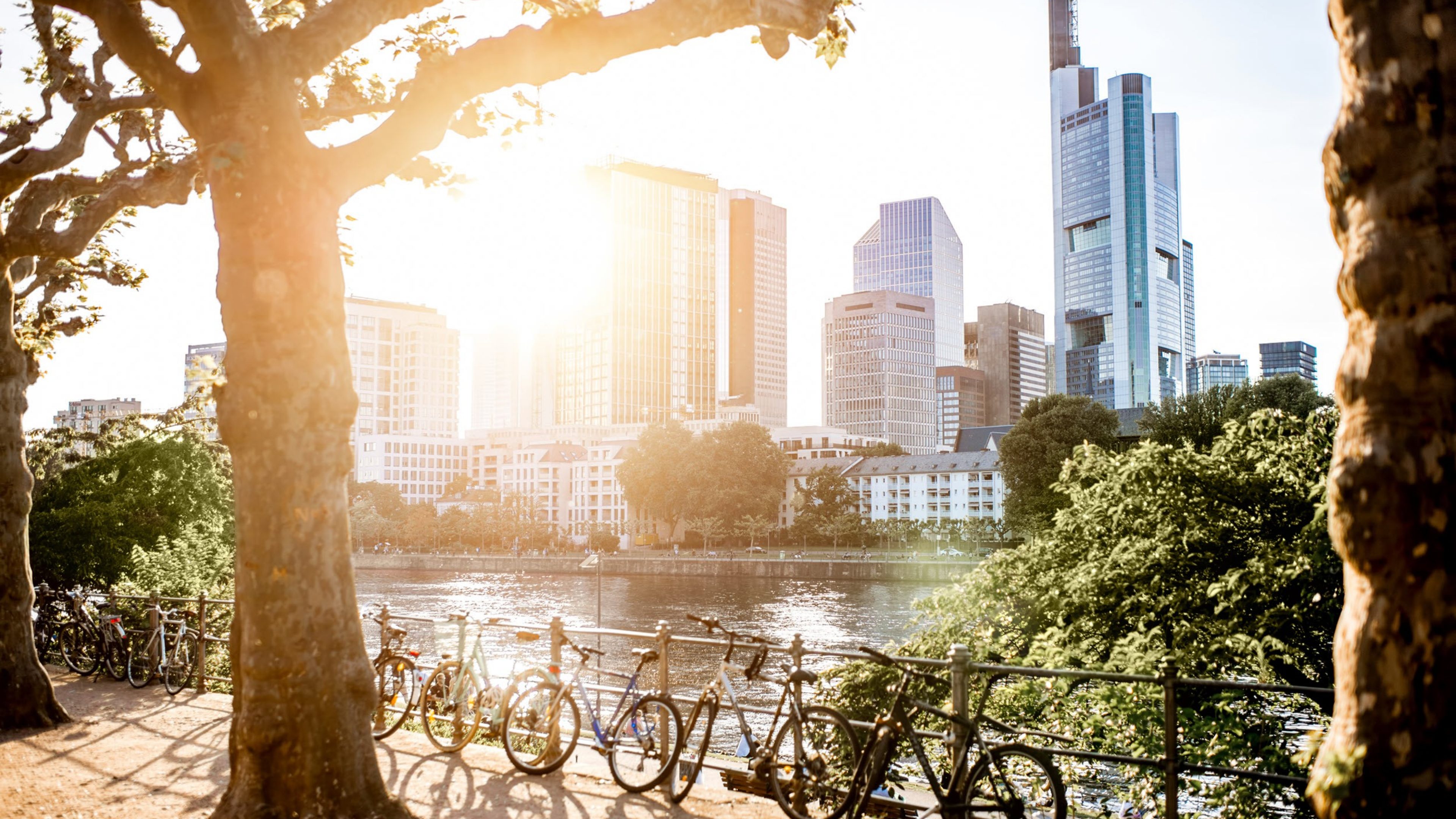 View on the financial district with Main river and park during the sunset in Frankfurt city, Germany