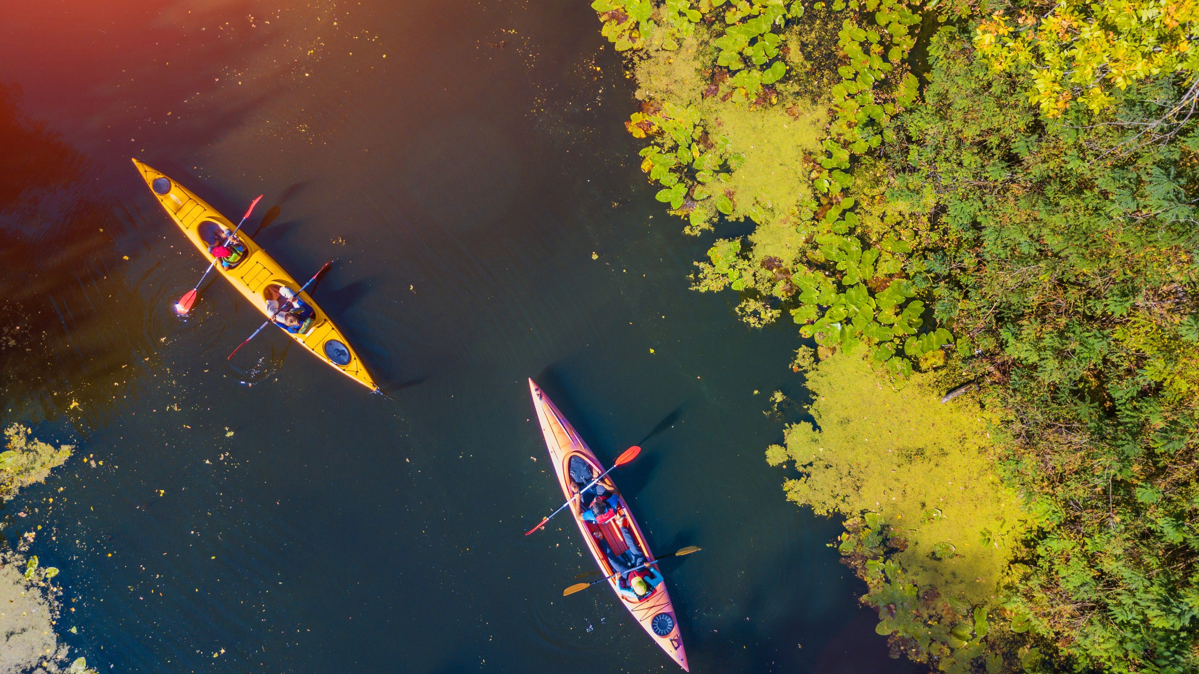Aerial drone bird's eye view photo of Happy family with two kids enjoying kayak ride on beautiful river. Little boy and teenager girl with their parents kayaking on hot summer day. Water sport fun. Canoe and boat for children
