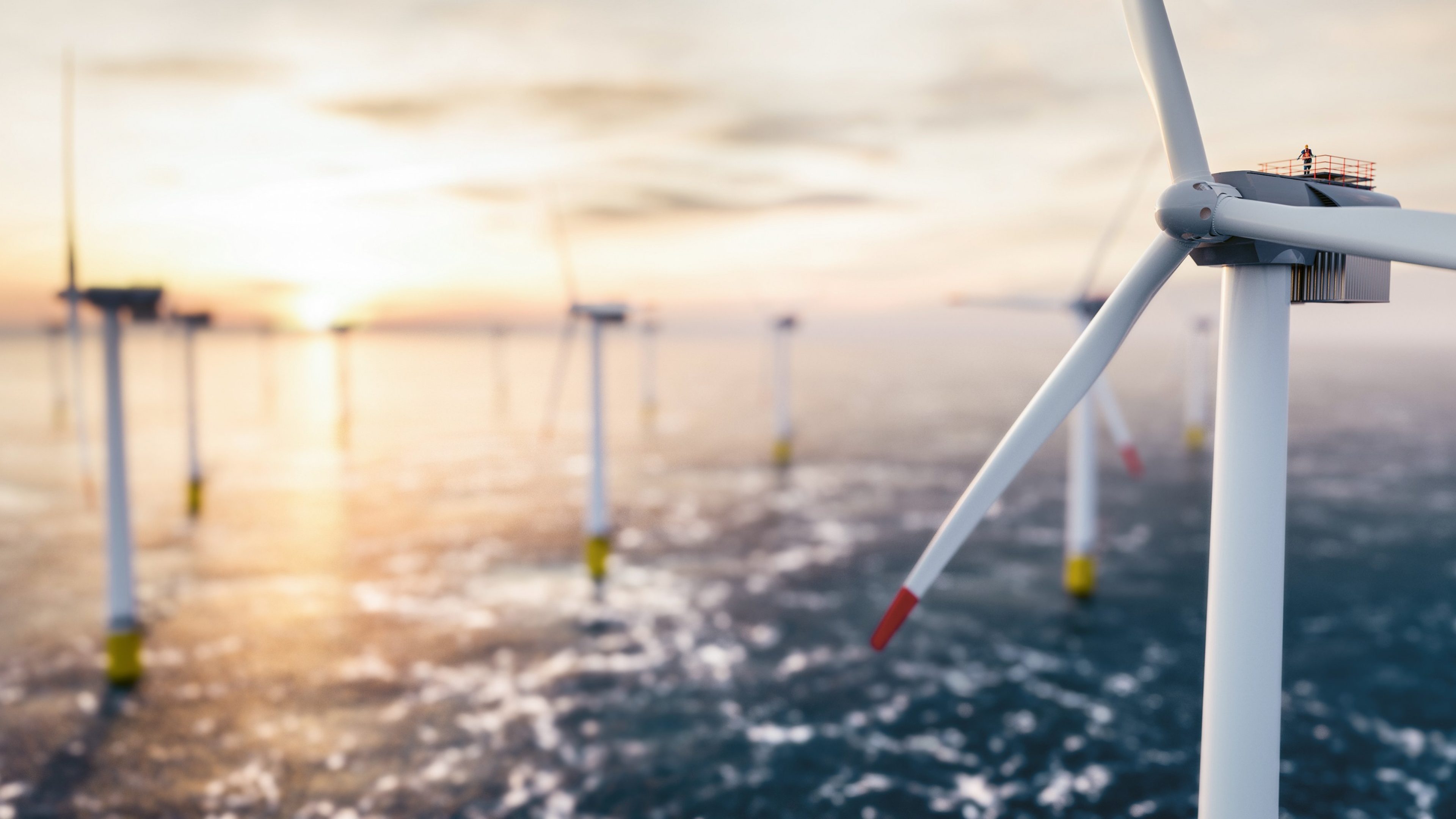 Turbine eoliche in mare al tramonto.